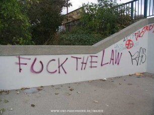 FUCK THE LAW