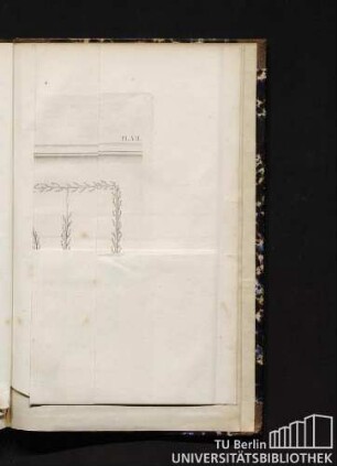 Pl. VII. Le Napoléon. Pêcher execute par Alexis Lepère. Dans ses cultures à Montreuil.
