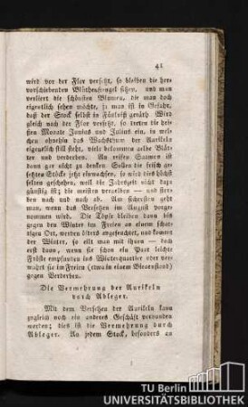 Die Vermehrung der Aurikeln durch Ableger.