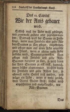 12. Wie der Anis gebauet wird