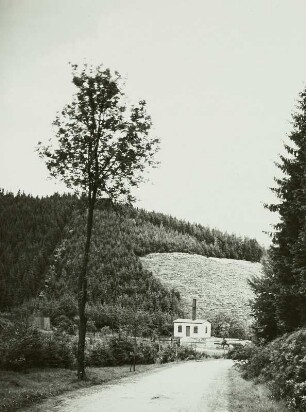 Schmiedeberg-Niederpöbel, Kaue des Kupfergruben-Bingen-Stollens im Saubachtal