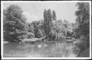 Geithain. Schwanenteich im Stadtpark