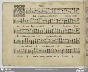 VII Veni in hortum meum