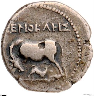 Apollonia