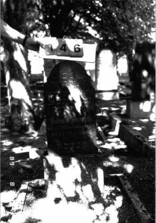 Grabstein 146 (Index: 100105289) Material: Granit, Sockel Muschelkalk Zustand: gut Maße HxBxT: 91x31x12 cm Beschreibung: Stele, Sockel, doppelt eingezogener nach oben gestreckter Konvexbogenabschluß: Grabstein 146
