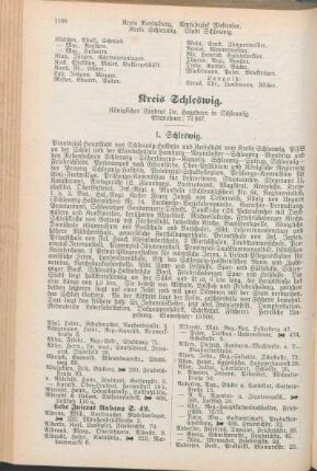 Kreis Schleswig.