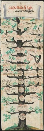 Tafel 9: Grafen zu Calw