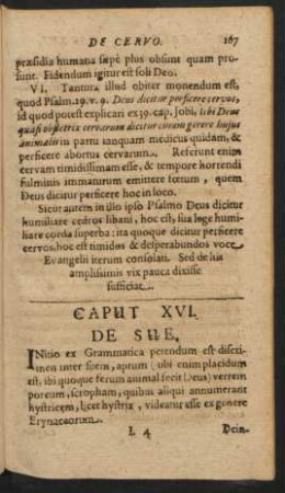 Caput XVI. De Sue.