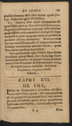 Caput XVI. De Sue.