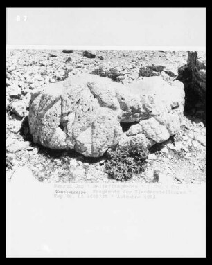 Körperfragment einer Löwenfigur
