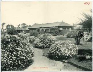 Kalifornien. Garden Scene in California