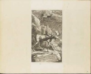 Kupferstich: Insigne Comitatvs Bottiniae Occidentalis