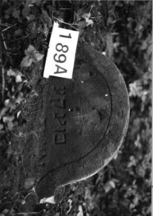 Grabstein 189 (Index: 99803245) Material: Sandstein Zustand: völl. eingesunk/Textverl/befestigt Maße HxBxT: 43x65x14 cm Beschreibung: Stele mit eingezogenem Rundbogen und profiliertem Rand: Grabstein 189A
