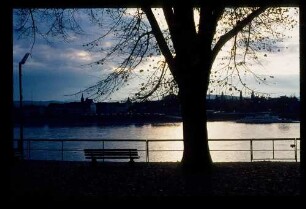 Rhein b. Rhöndorf 2.11.75.