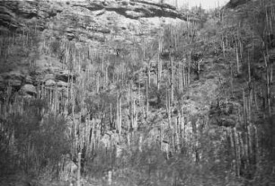 Fahrt nach Puerto Barrios (Lateinamerika-Aufenthalte 1934/1942 – 5. Mexiko 1937)