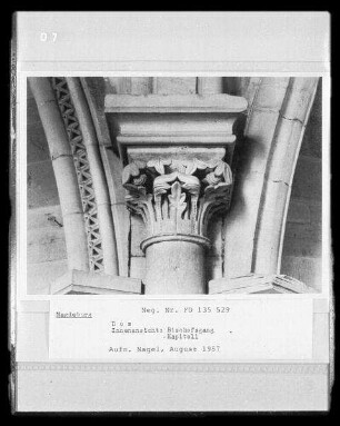Magdeburg, Dom St. Mauritius und Katharina, Innenaufnahme, Bischofsgang : Kapitell mit Akanthusschmuck und ornamentierte Gewölberippe im Bischofsgang