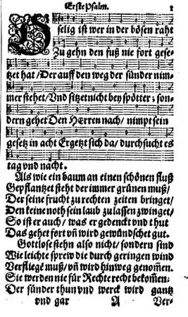 Erste Psalm. - Der X. Psalm