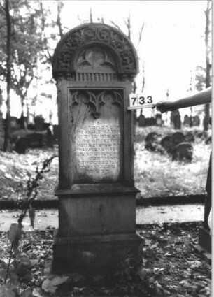 Grabstein 733