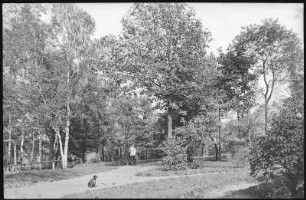 Dresden. Garnisonslazarett - Park