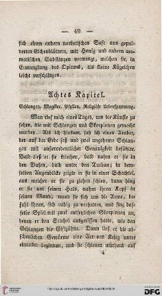 Achtes Kapitel: Schlangen. Magister. Pfyllen. Religiöse Ueberspannung