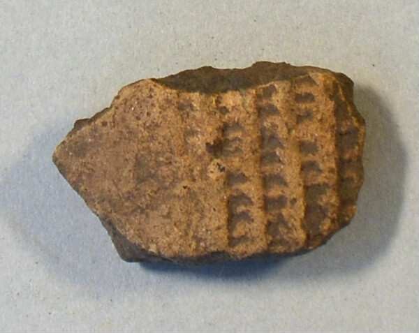 Fragment of a vessel