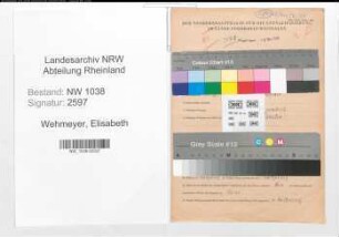 Entnazifizierung Elisabeth Wehmeyer , geb. 17.11.1899 (Lehrerin)