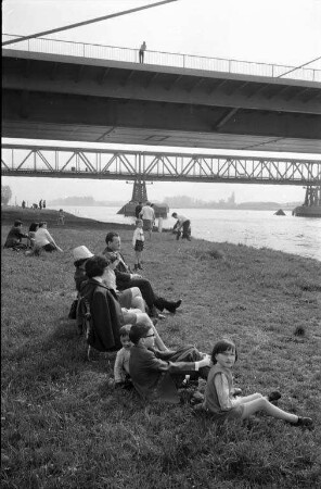 Sonniger Frühlingstag am Rhein.
