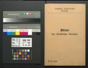 Sabine Märtens (Martens) aus Kalldorf (Amt Varenholz) gegen Jobst Hermann Höver (Höefer) zu Kalldorf, Sohn des Kuhhirten Jobst Höver zu Hellinghausen, wegen einer Eheklage