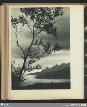 In den Lofoten (Norwegen)