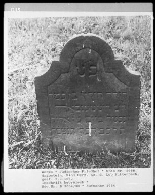 Grabstein von Kind Herz, Sohn des Löb Hüttenbach (gestorben 1862.09.02)