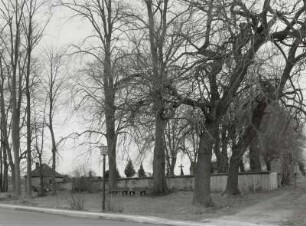 Neuer Friedhof