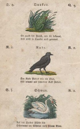Quaker. Rabe. Schwan.