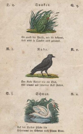 Quaker. Rabe. Schwan.