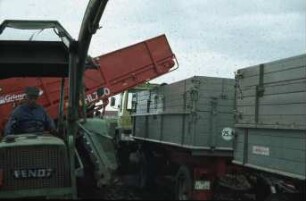 Fotografie: Kartoffel, Kartoffelsammelroder, Transport, Zweiachsanhänger