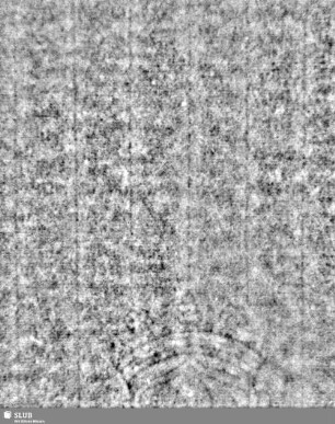 Lilienschild + IESV / LW = Nachsatzblatt 1