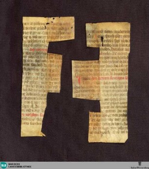Evangelistar, dt. (Olmützer Perikopen?), Fragment - Cod. Donaueschingen B II 8