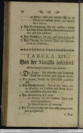 Tabula XIV. Von der Maxilla inferiori