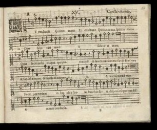 XV. Et exultauit spiritus meus (Secundi Toni)
