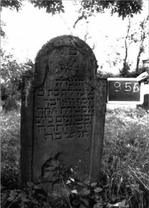 Grabstein 956 (Index: 100103868) Material: Sandstein Zustand: Inschrift gut erhalten, unten und im Bogenfeld stark verwittert Maße HxBxT: 124x58x9 cm Beschreibung: Stele, überhöhter eingezogener Rundbogenabschluss, Schriftfeld eingetieft mit Konvexbogenabschluss, im Bogenfeld Blüte Symbolik: Blüte Besonderheit: Kind: Grabstein 956
