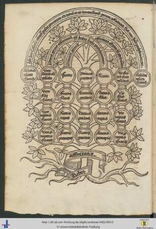 Arbor affinitatis.