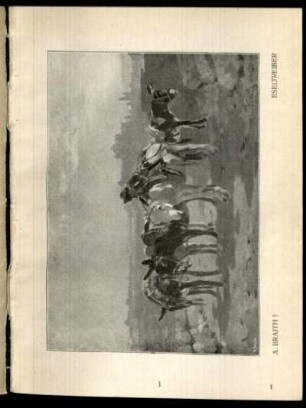 Eseltreiber / A. Braith