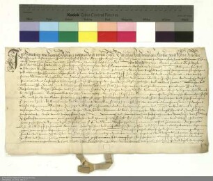 Revers Sebastians von Fulbach bezüglich der Belehnung mit einem Hof in Rannungen durch Wolfgang [Schutzbar gen. Milchling], Abt von Fulda