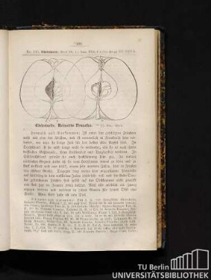 No. 315. Edelreinette. Reinette Franche.
