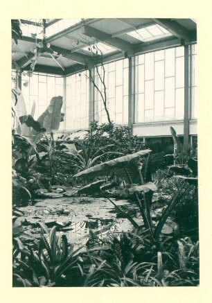 Tierpark Berlin. Alfred-Brehm-Haus, Tropenhalle.