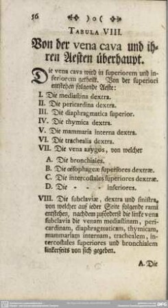 Tabula VIII. Von der Vena cava und ihren Aesten überhaupt