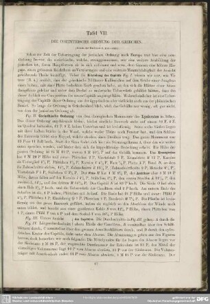 Tafel VII. Die corinthische Ordnung der Griechen