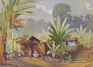 Bananenidyll bei Rio de Janeiro bei Gewitterstimmung