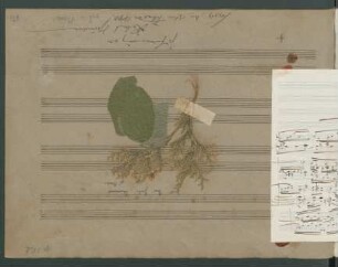 Romanzen; pf; Fis-Dur; McCS 28/2; op.28,2