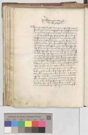 Bernhard Billung von Burgberg
