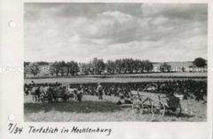 Torfgewinnung in Mecklenburg
